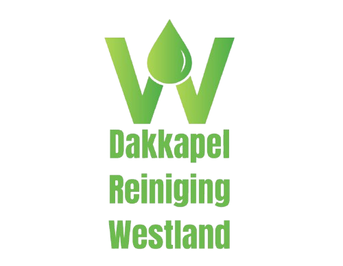 dakkapelreinigingwestland.nl